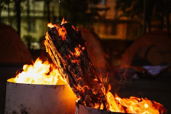 Excursion culturelle : choix de visites guidées